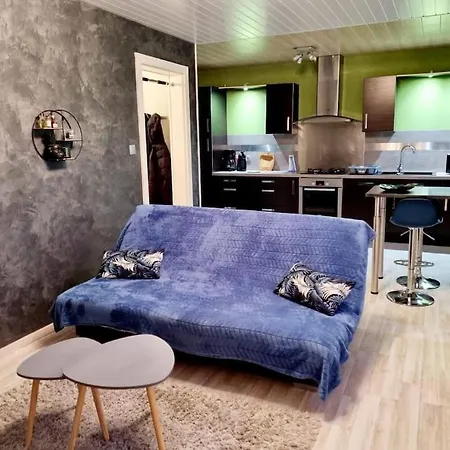 Proche Du Centre Et Du Gérardmer